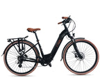 Black electric bicycle with brown accents on a white background