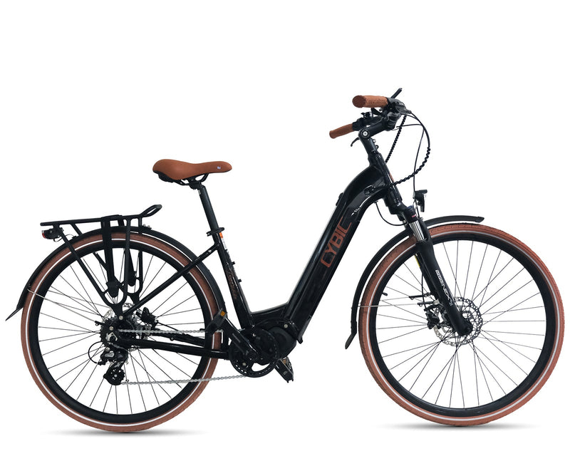 BELENA E-City Cruising Elektrofahrrad
