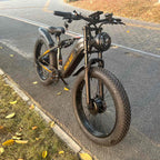 Electric bike on a road with grass and leaves around