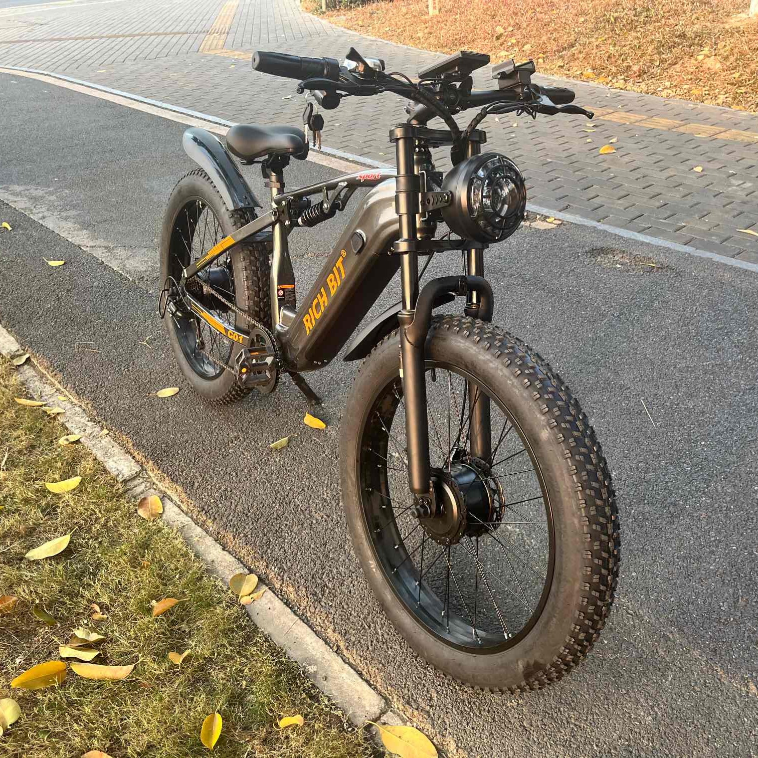 Electric bike on a road with grass and leaves around