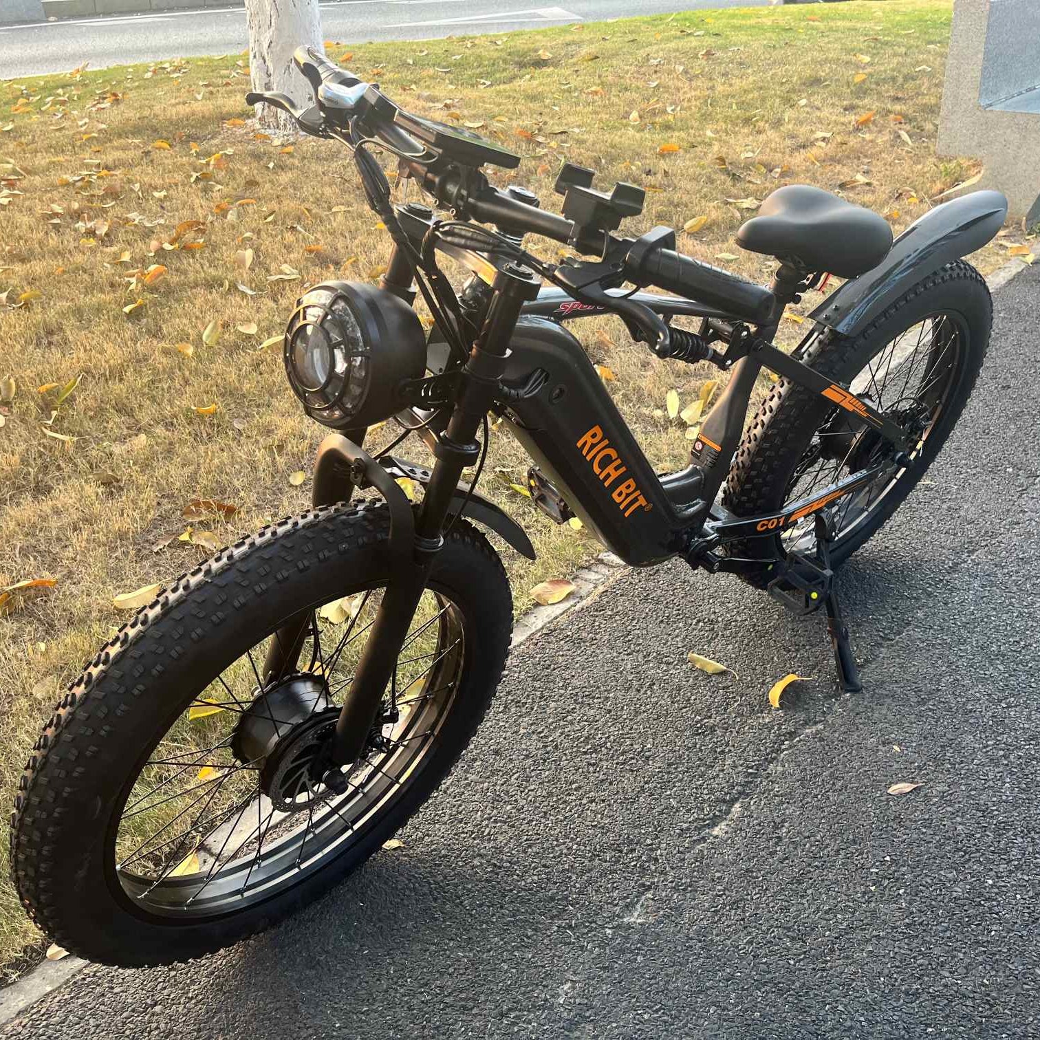 Electric bike on a paved road with grass and leaves in the background